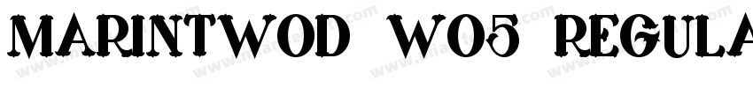 MarinTwoD W05 Regular字体转换
